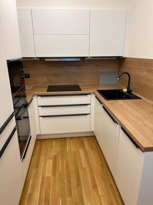 Apartman Holesovice,Balkon,Garaz Praha Eksteriør bilde