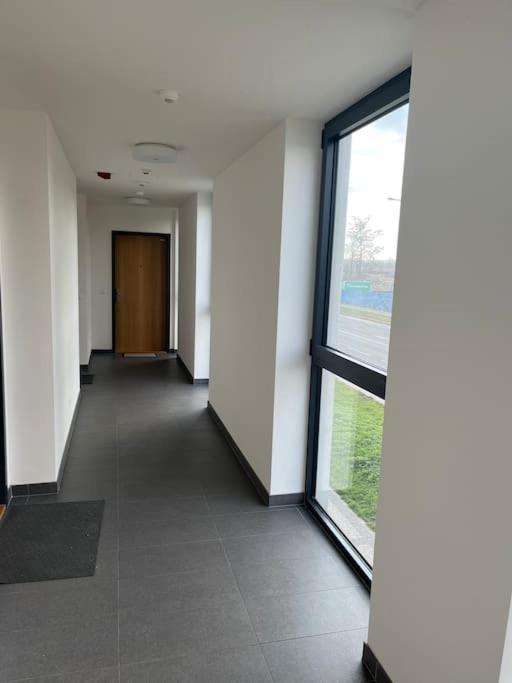 Apartman Holesovice,Balkon,Garaz Praha Eksteriør bilde